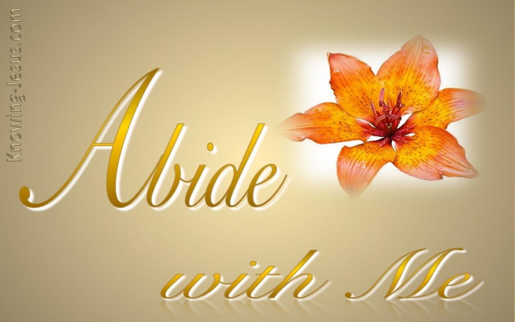 Abide With Me (devotional)10-07 (gold)